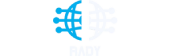 Rady LLC