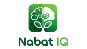 Nabat IQ